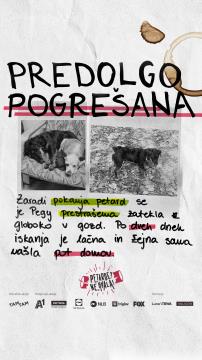 Petarde - Ne, hvala! 2